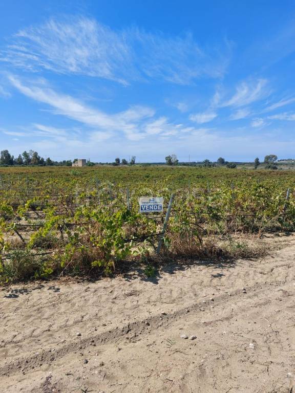 immagine annuncio 8 di 11