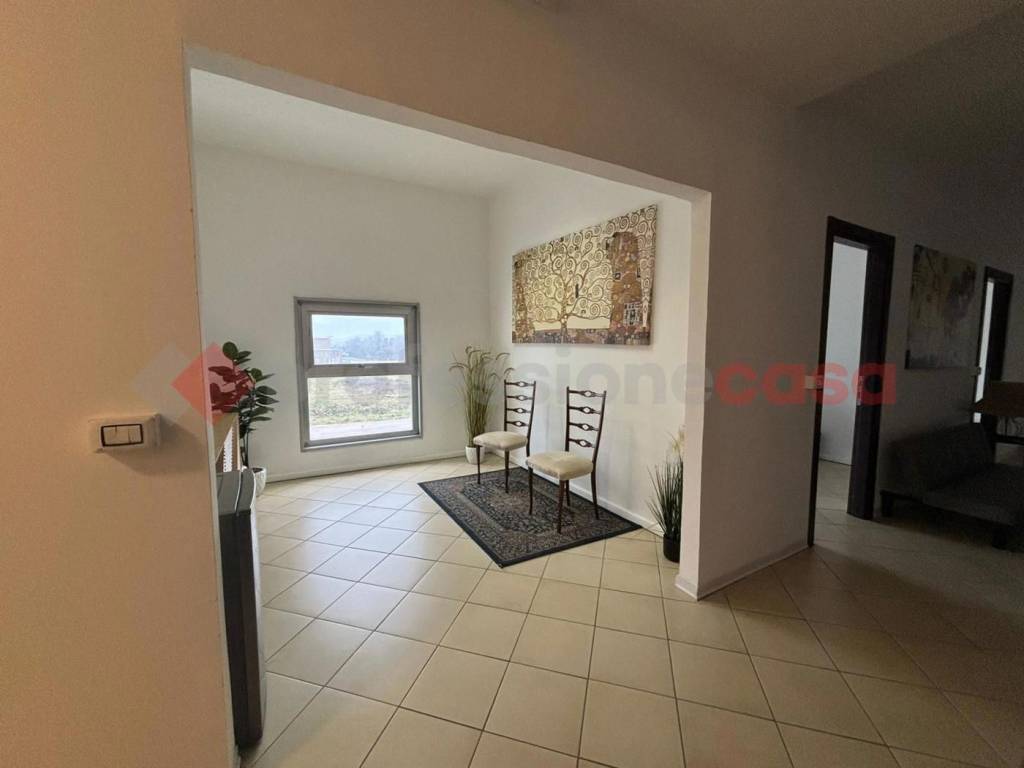 immagine annuncio 3 di 14