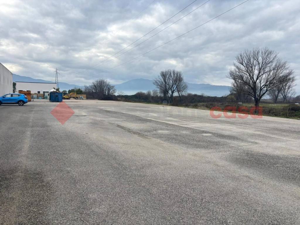 immagine annuncio 11 di 14