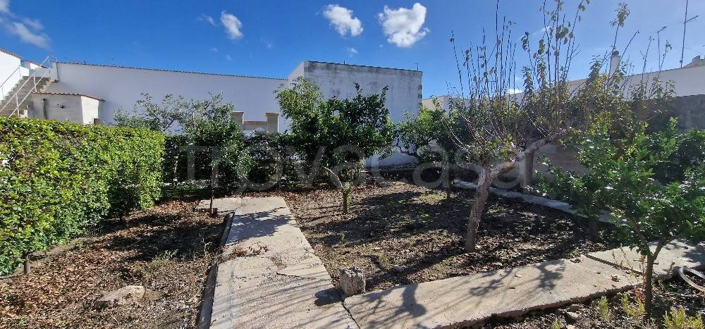 immagine annuncio 5 di 8