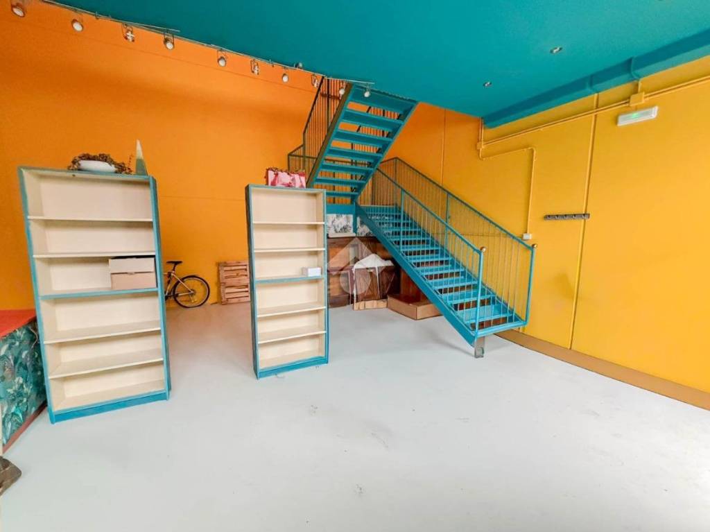 immagine annuncio 3 di 11