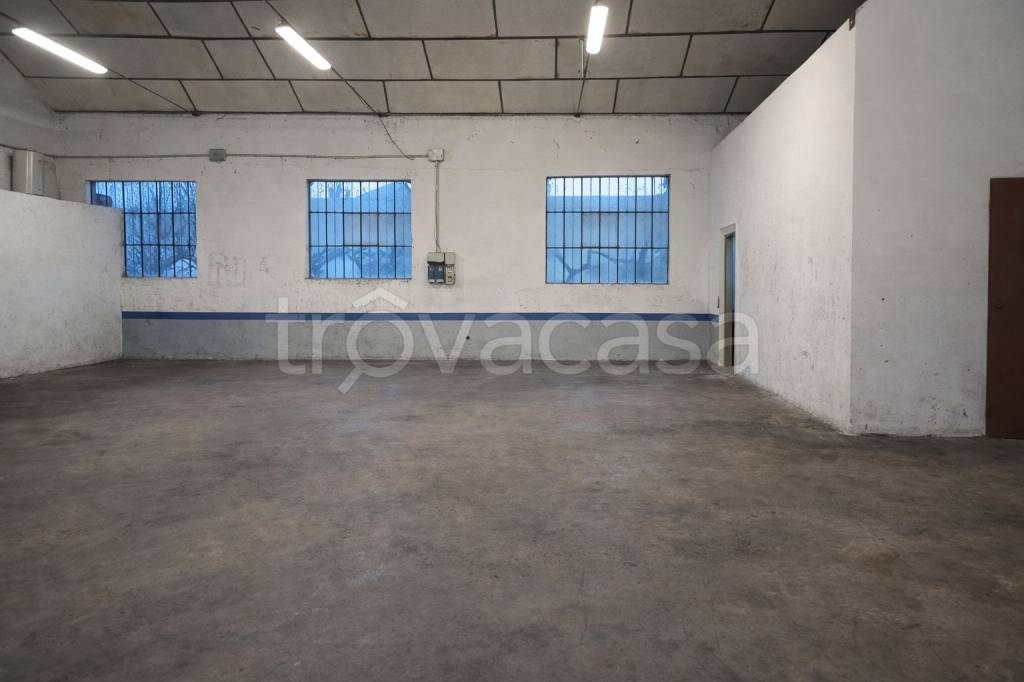 immagine annuncio 2 di 8