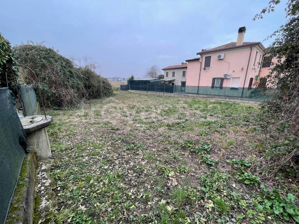 immagine annuncio 2 di 7