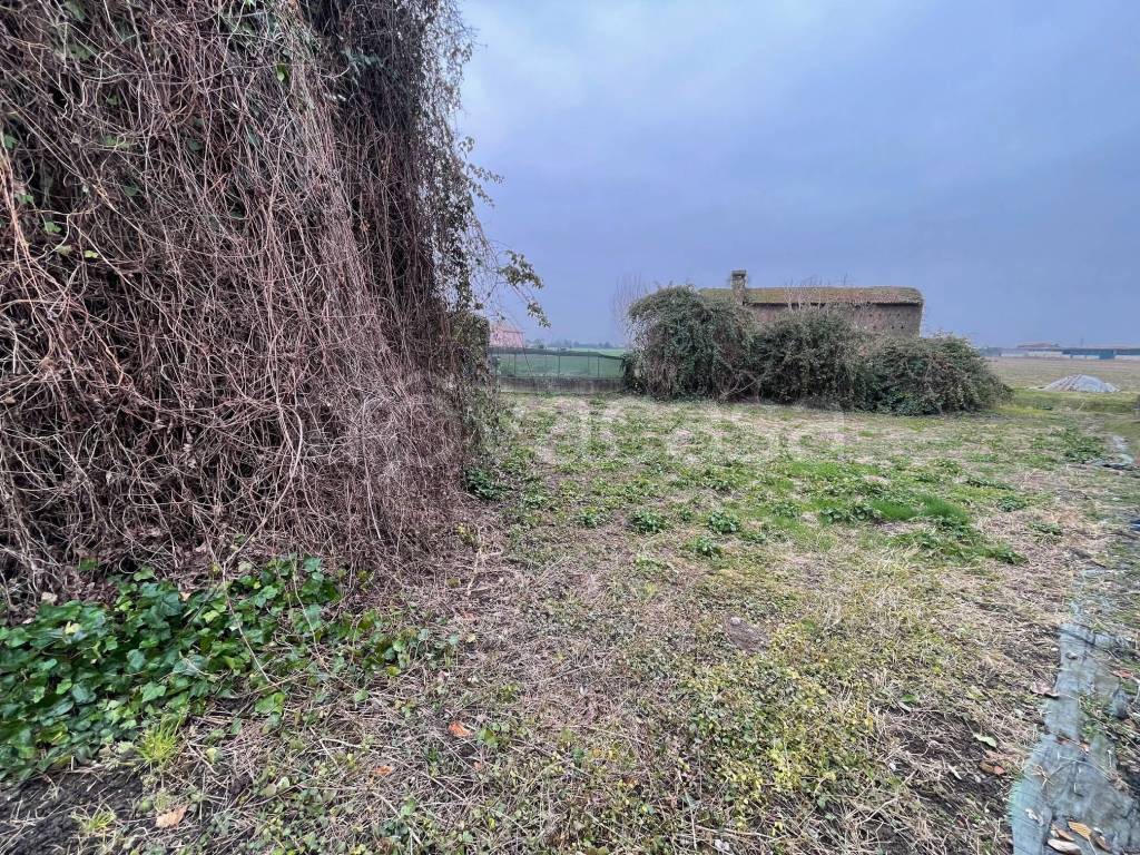 immagine annuncio 3 di 7