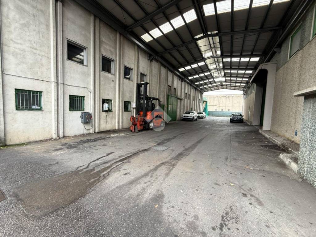 immagine annuncio 2 di 15