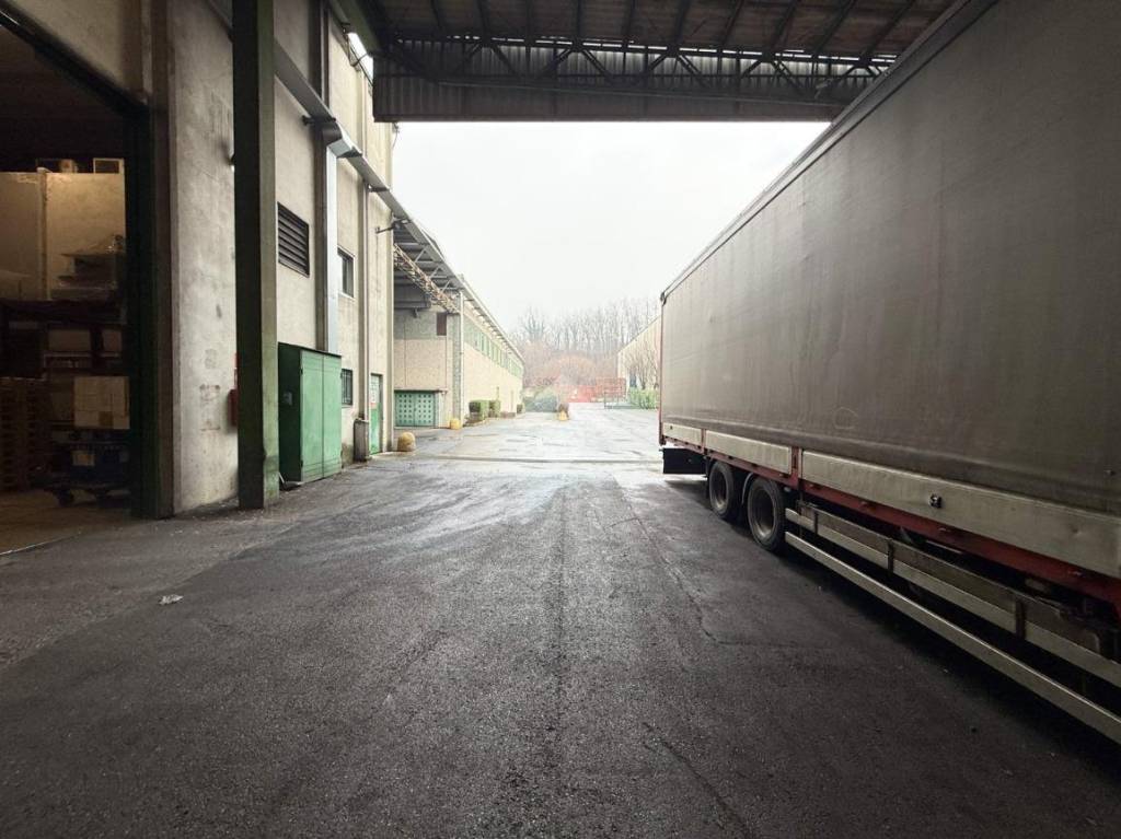 immagine annuncio 13 di 15