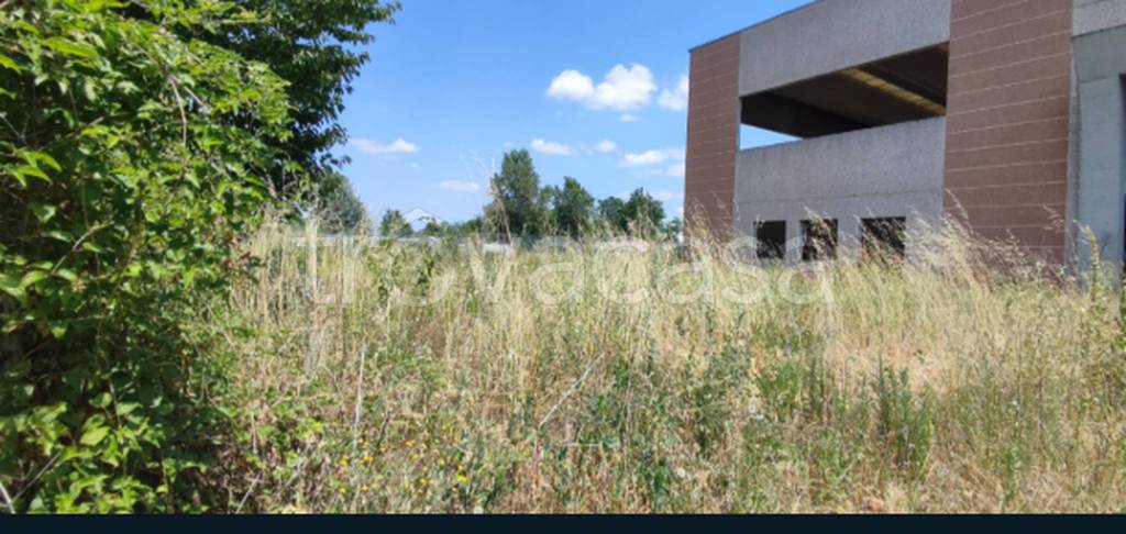 immagine annuncio 7 di 12