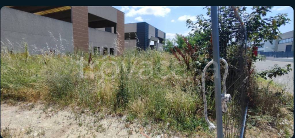 immagine annuncio 8 di 12