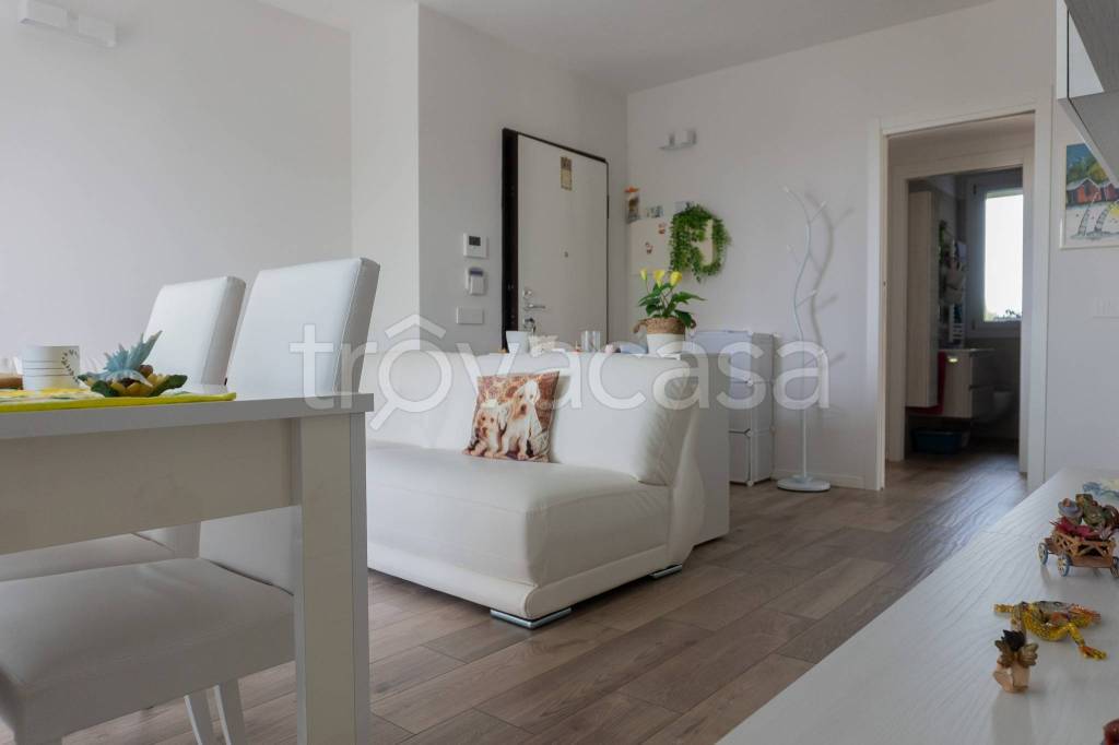 immagine annuncio 1 di 12