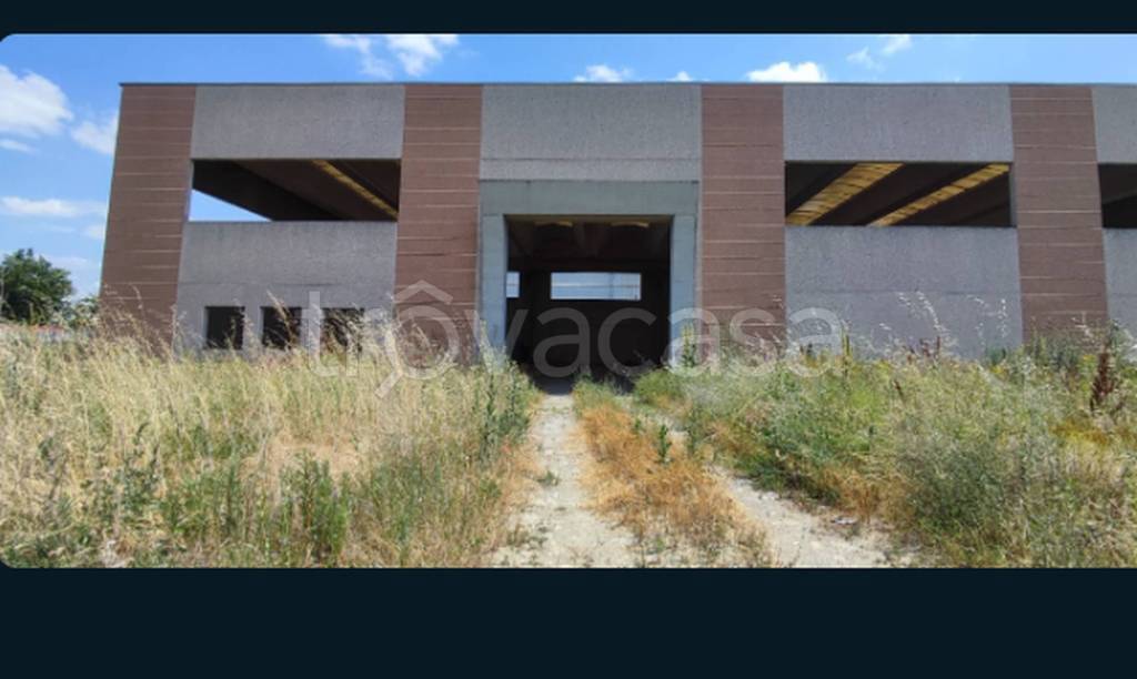 immagine annuncio 11 di 12