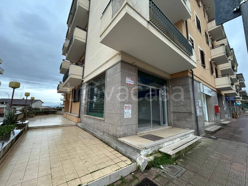 immagine annuncio 7 di 8