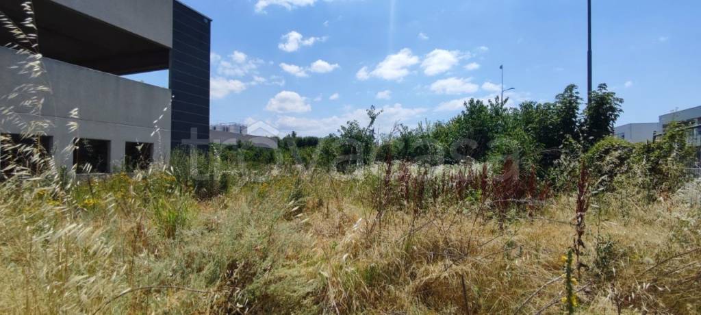 immagine annuncio 3 di 12