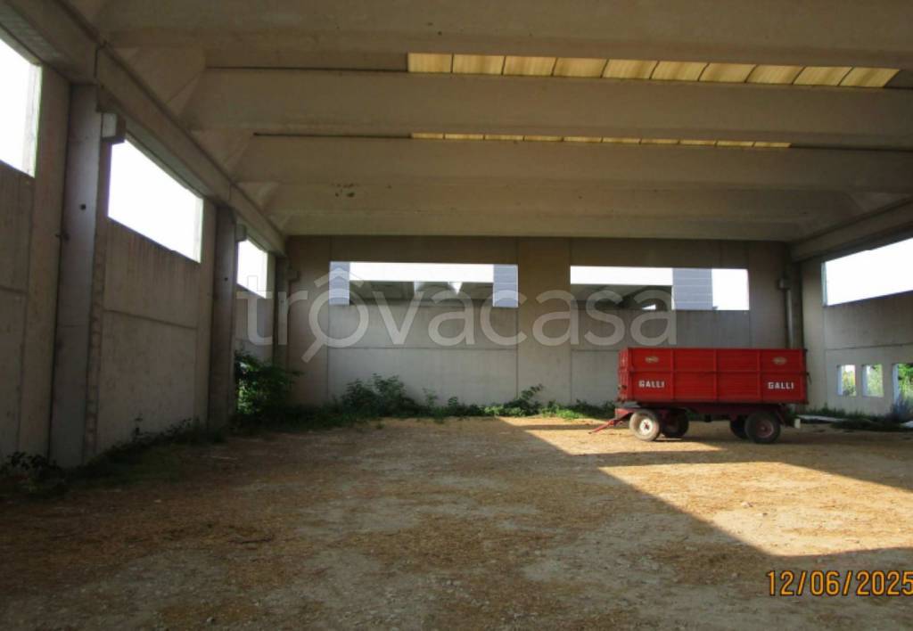 immagine annuncio 4 di 12