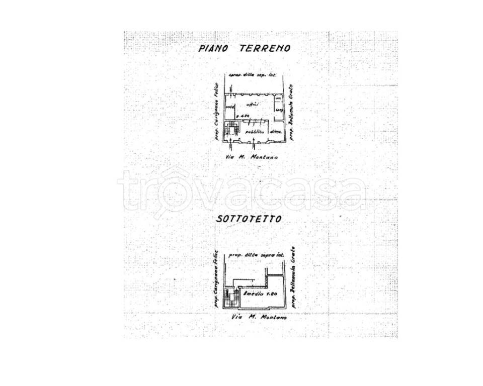 immagine annuncio 1 di 3