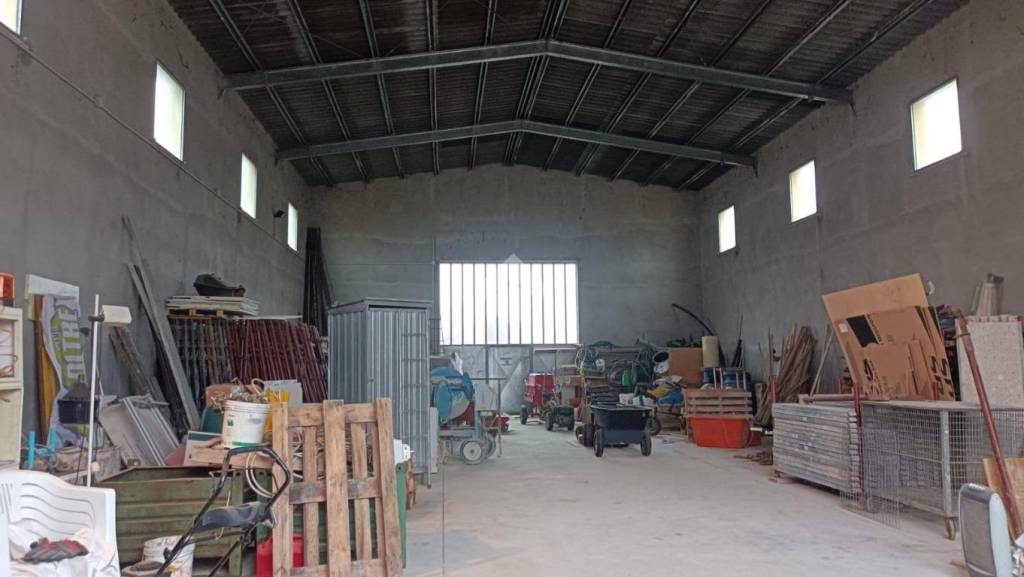 immagine annuncio 1 di 14