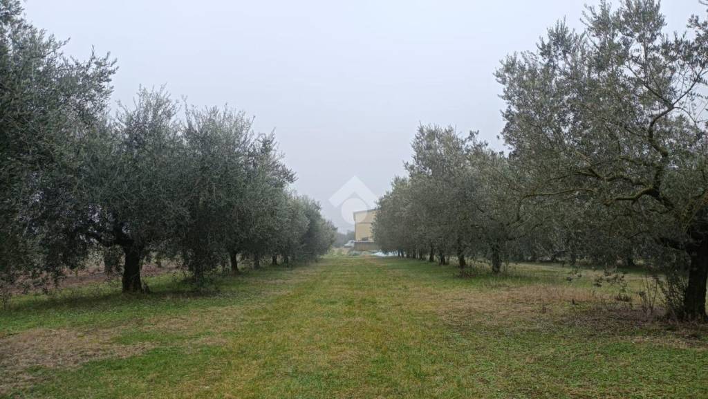 immagine annuncio 2 di 14