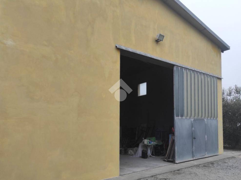 immagine annuncio 3 di 14