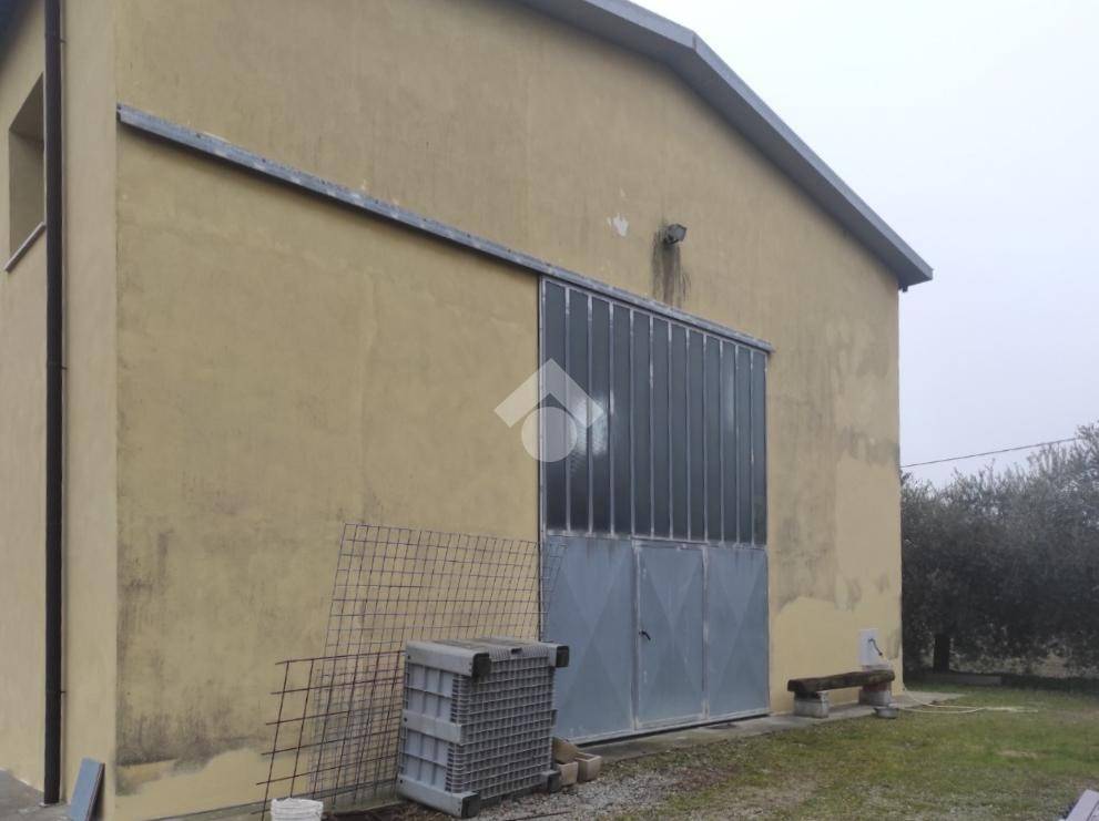 immagine annuncio 6 di 14