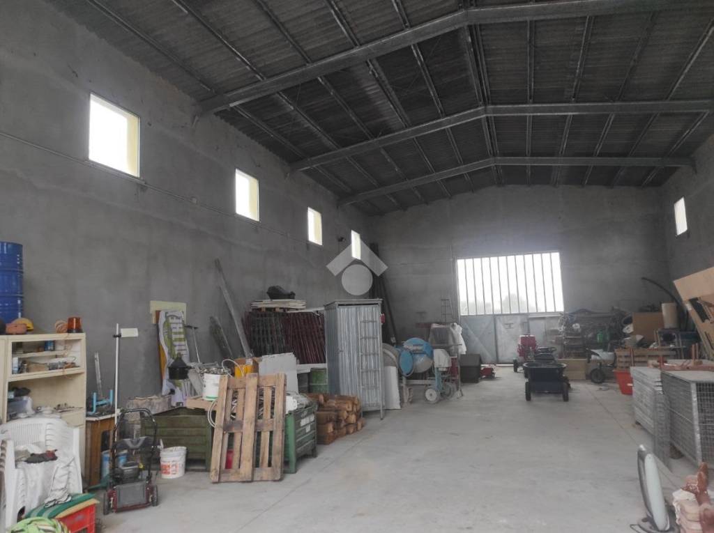 immagine annuncio 7 di 14