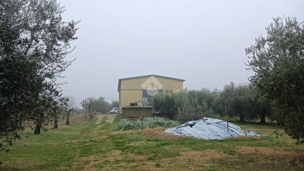 immagine annuncio 8 di 14