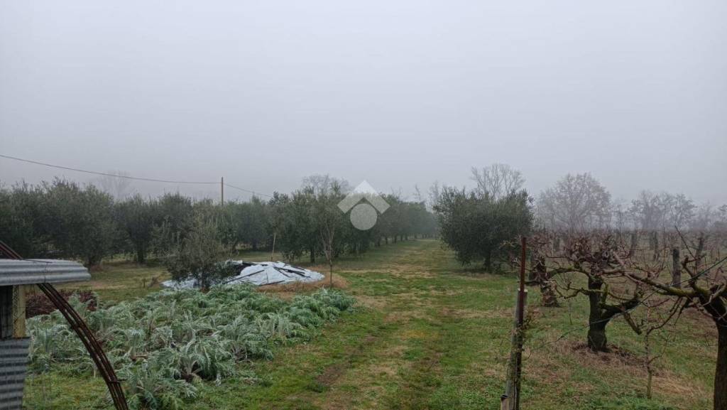 immagine annuncio 9 di 14