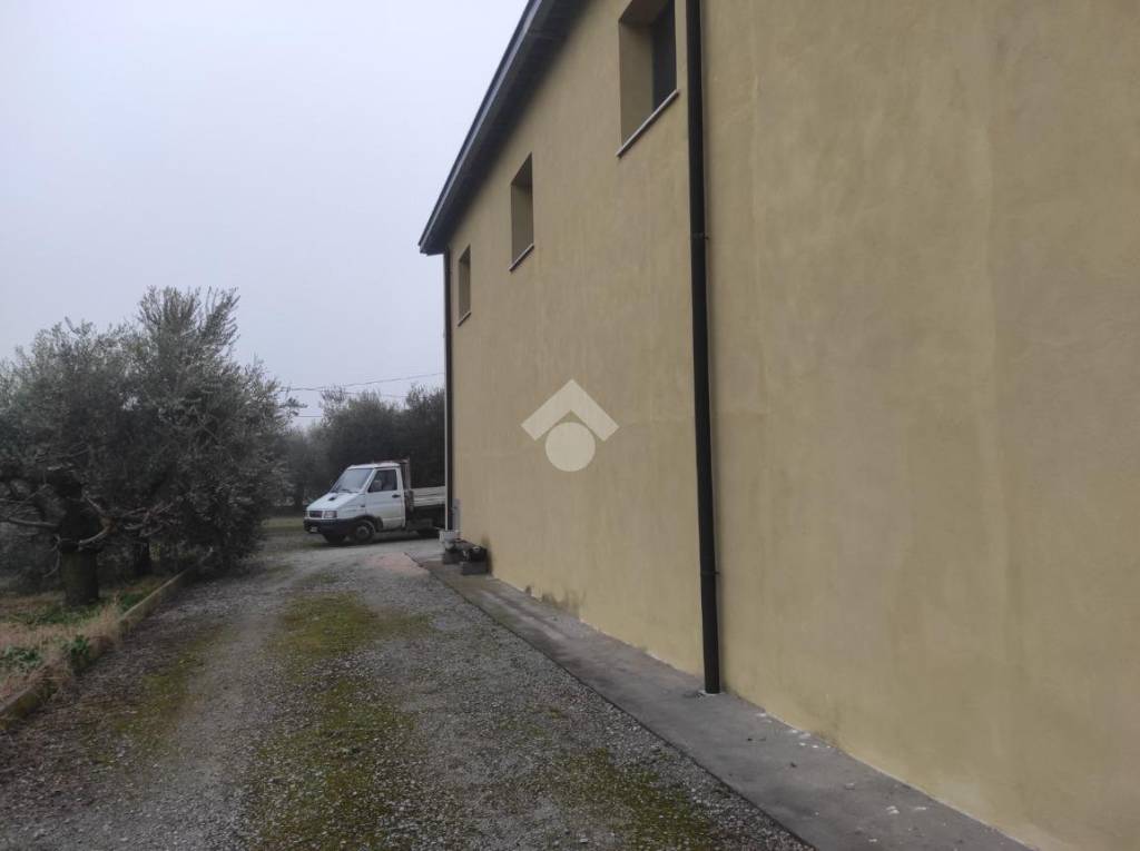 immagine annuncio 10 di 14