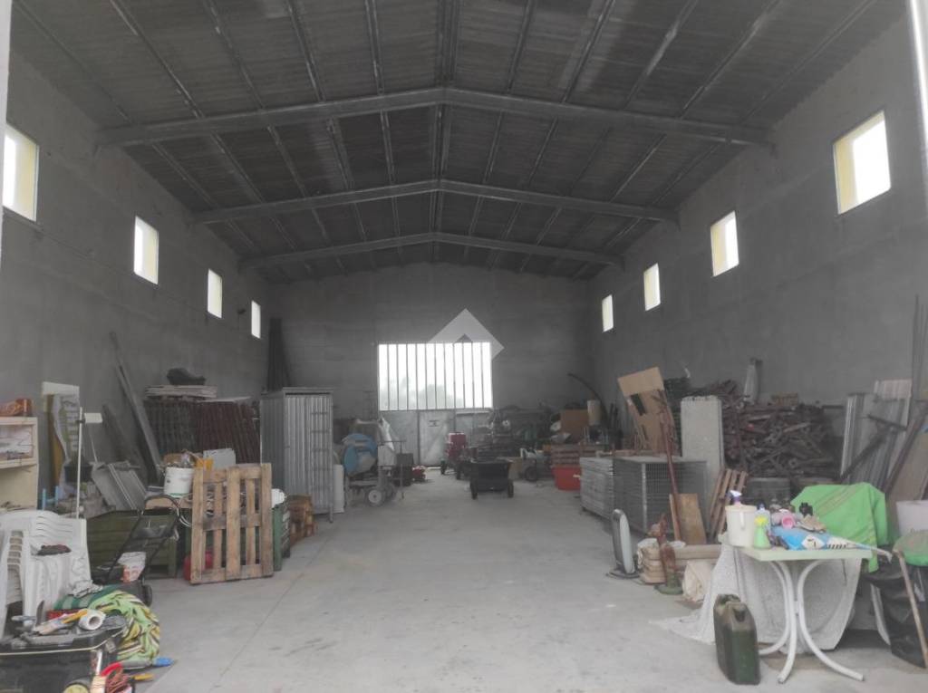 immagine annuncio 12 di 14