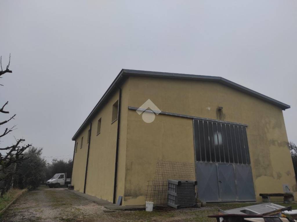 immagine annuncio 13 di 14