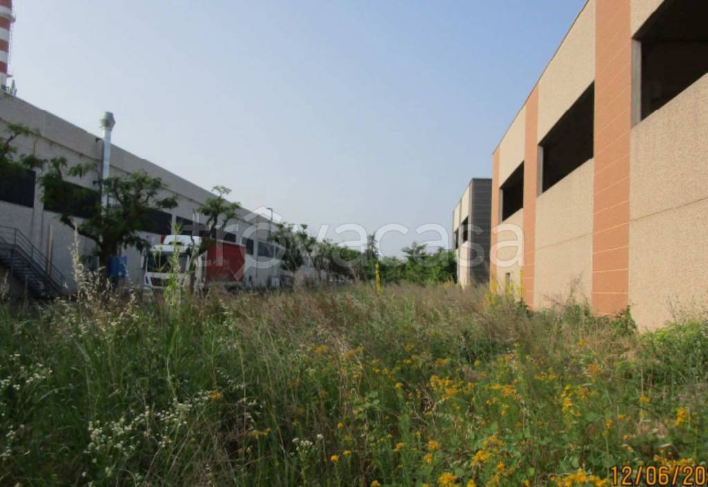 immagine annuncio 5 di 12