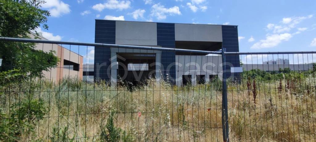 immagine annuncio 7 di 12