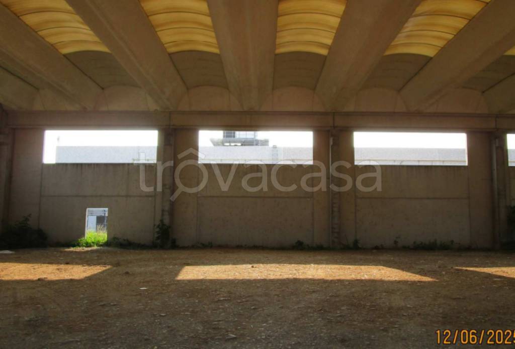 immagine annuncio 8 di 12