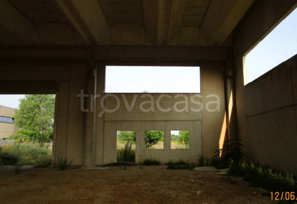 immagine annuncio 9 di 12