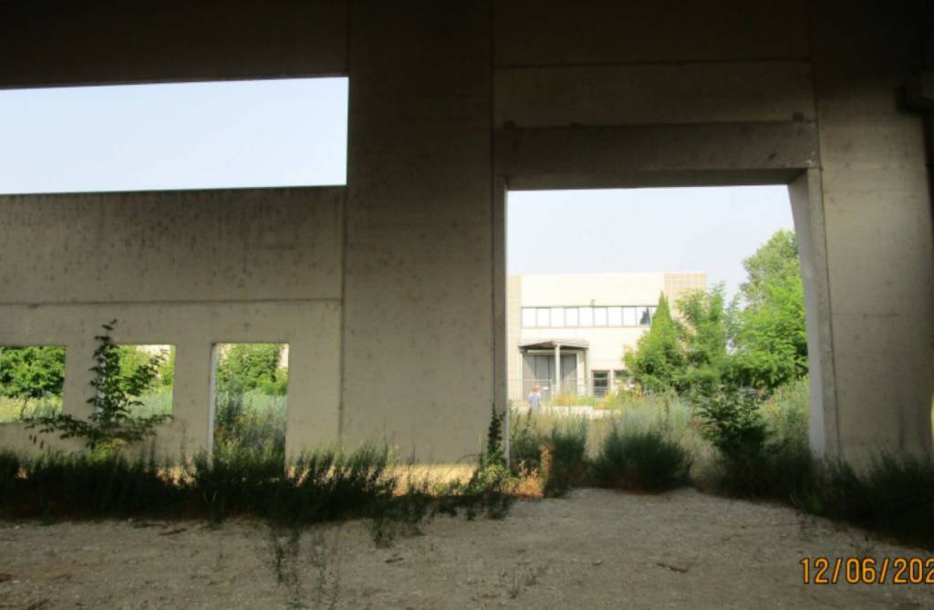 immagine annuncio 11 di 12