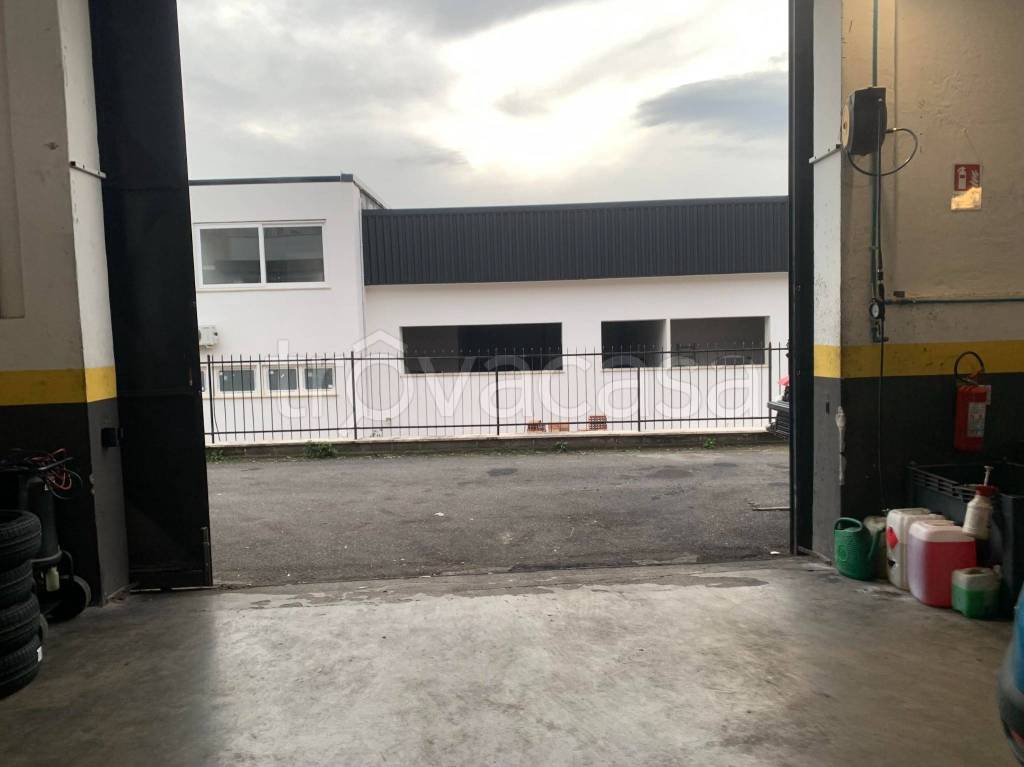 immagine annuncio 5 di 6