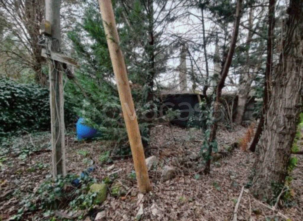 immagine annuncio 6 di 13