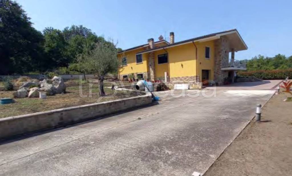 immagine annuncio 10 di 12