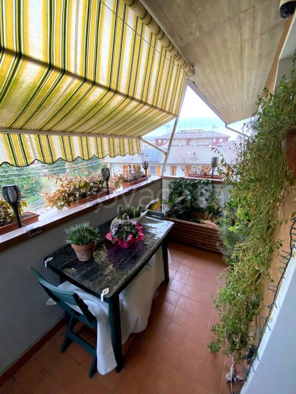 immagine annuncio 1 di 14