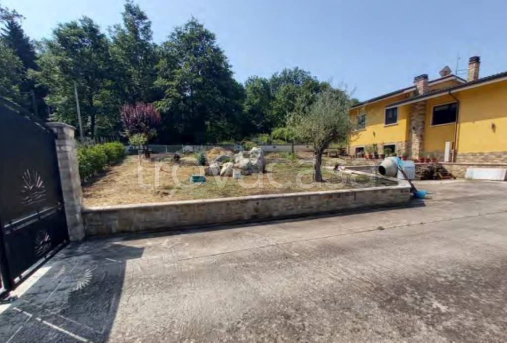 immagine annuncio 11 di 12