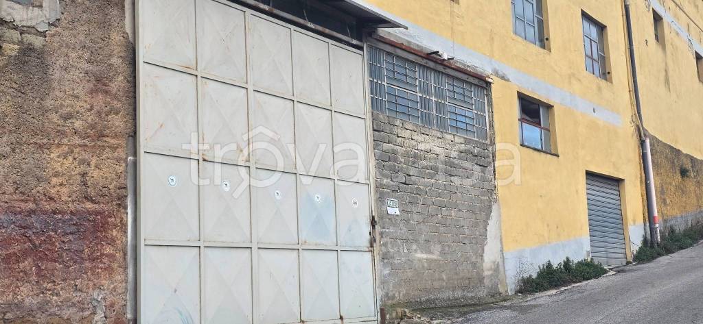 immagine annuncio 9 di 14