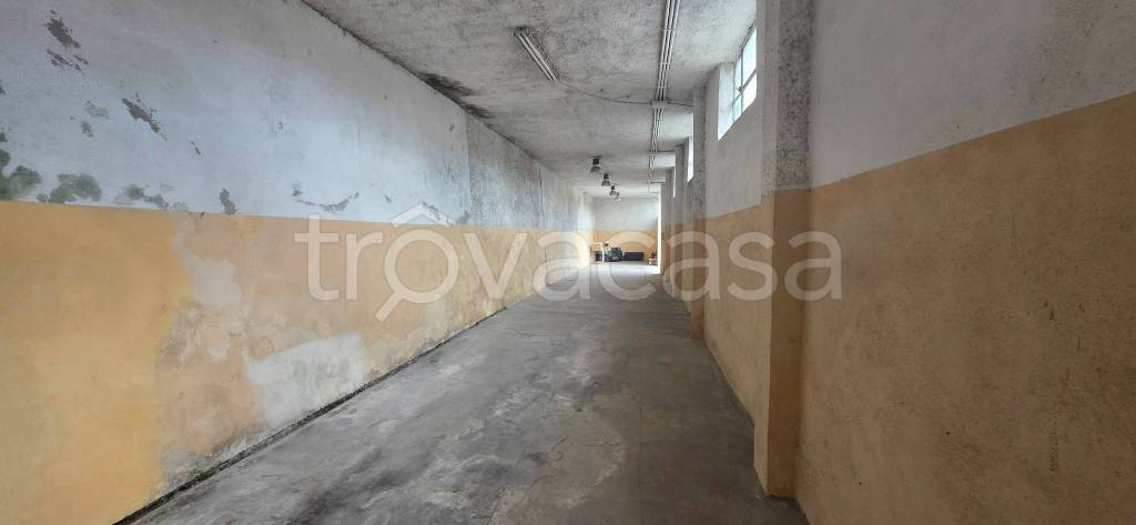 immagine annuncio 11 di 14