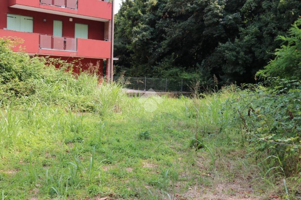 immagine annuncio 4 di 12