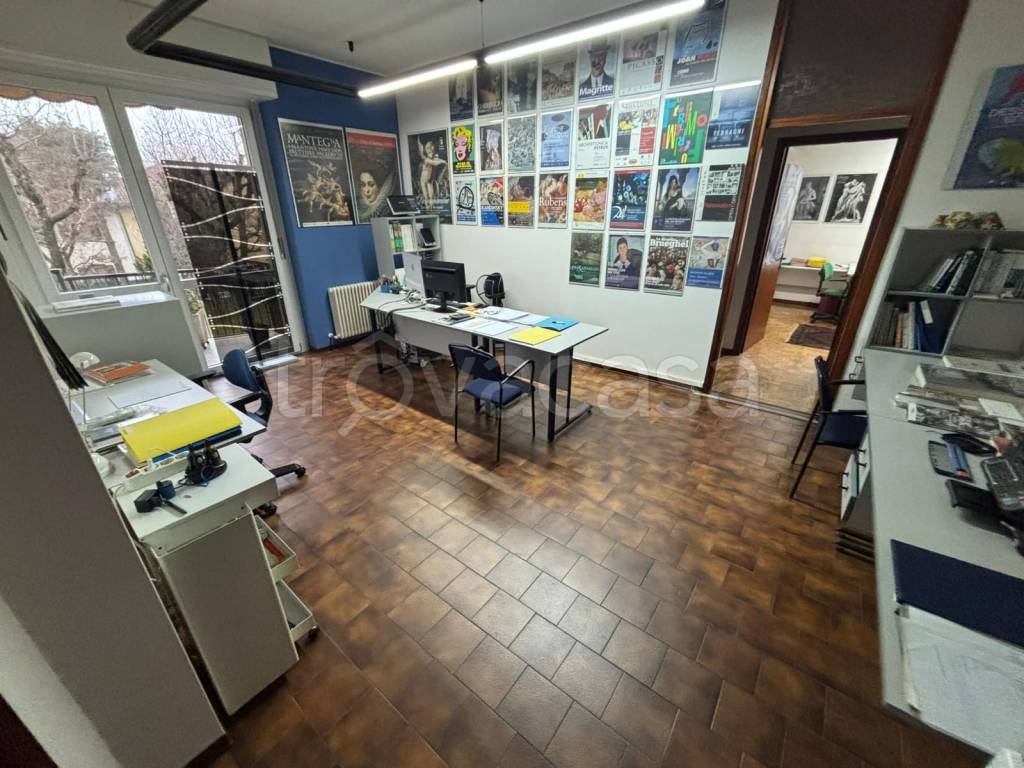 immagine annuncio 1 di 12