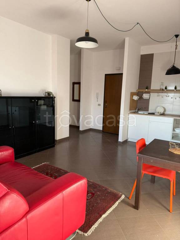 immagine annuncio 3 di 12