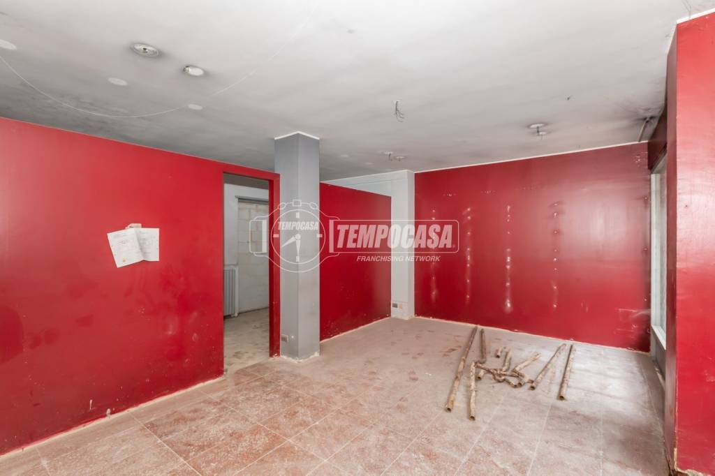 immagine annuncio 10 di 14