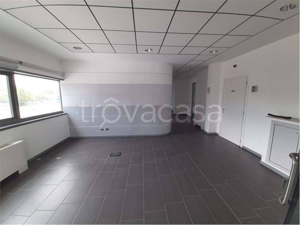 immagine annuncio 3 di 8