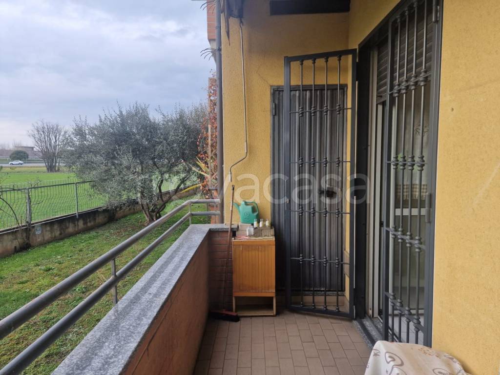 immagine annuncio 10 di 15