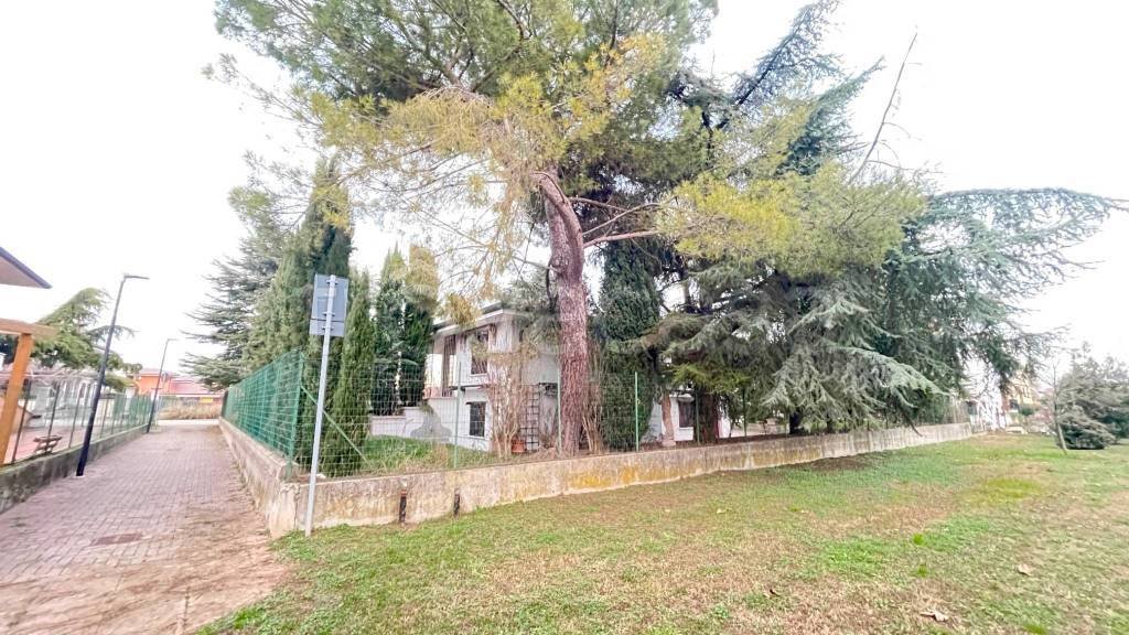 immagine annuncio 7 di 9