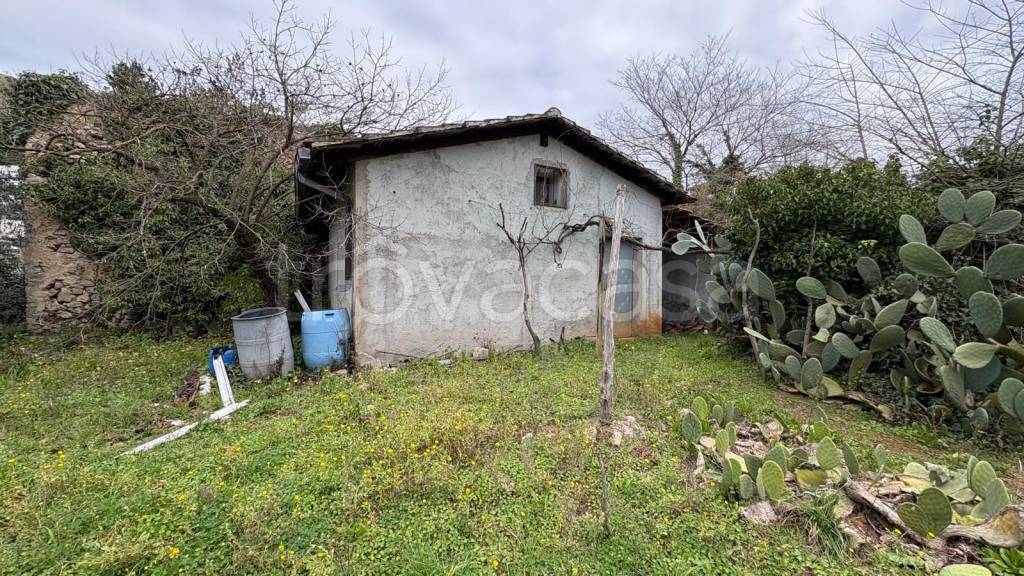 immagine annuncio 2 di 14