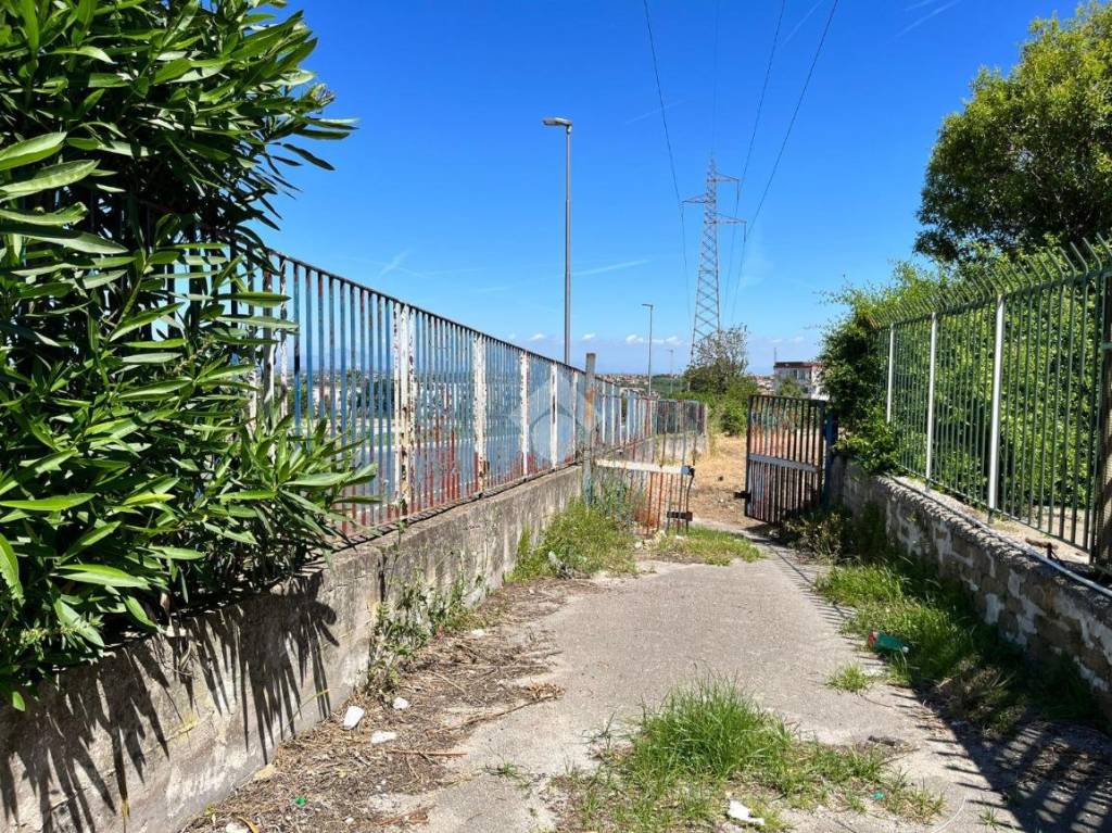 immagine annuncio 10 di 13