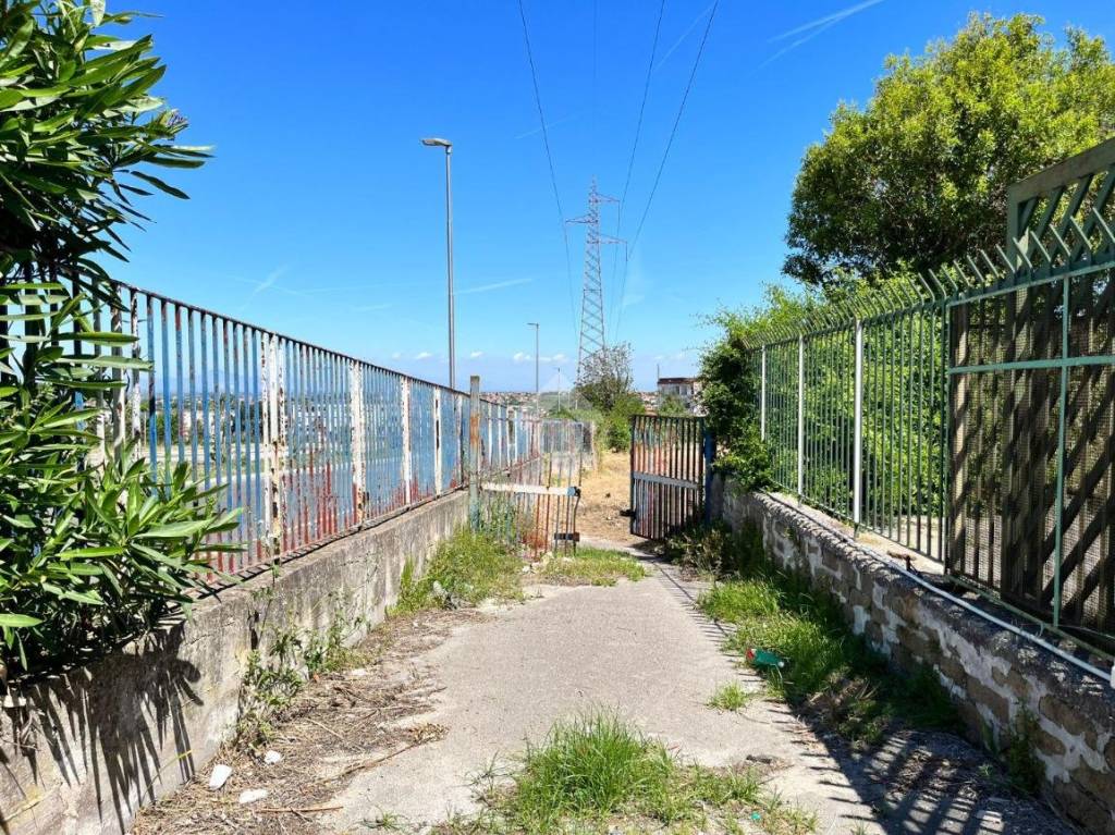 immagine annuncio 12 di 13